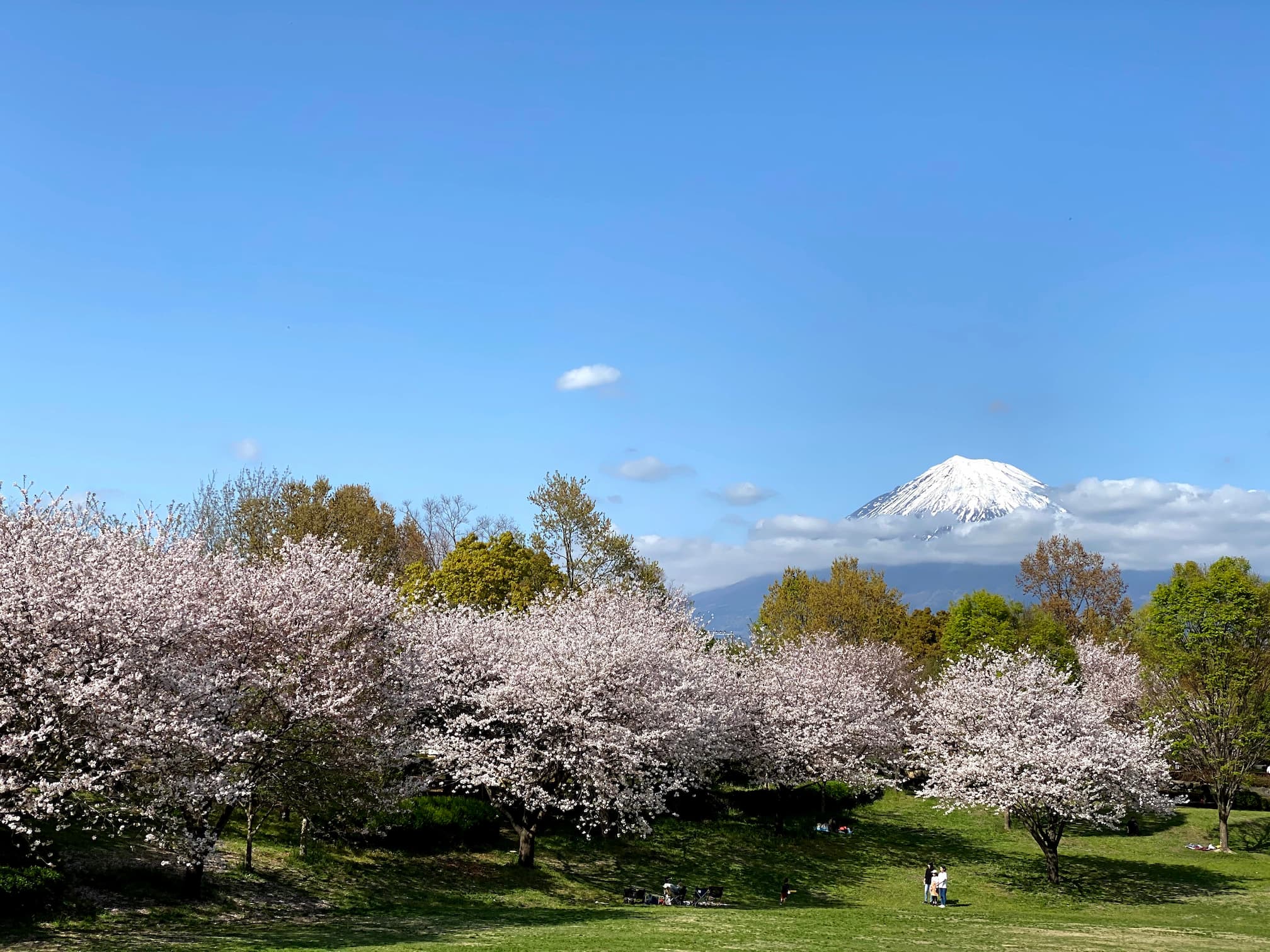 富士山